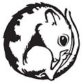 BUDDY ICON V5.png