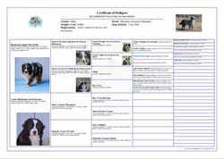 Screenshot_20250928_203830_Chrome