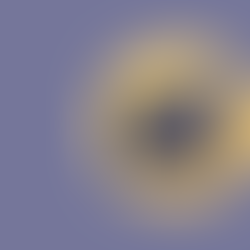 The 5 essential ingredients to achieve academic success