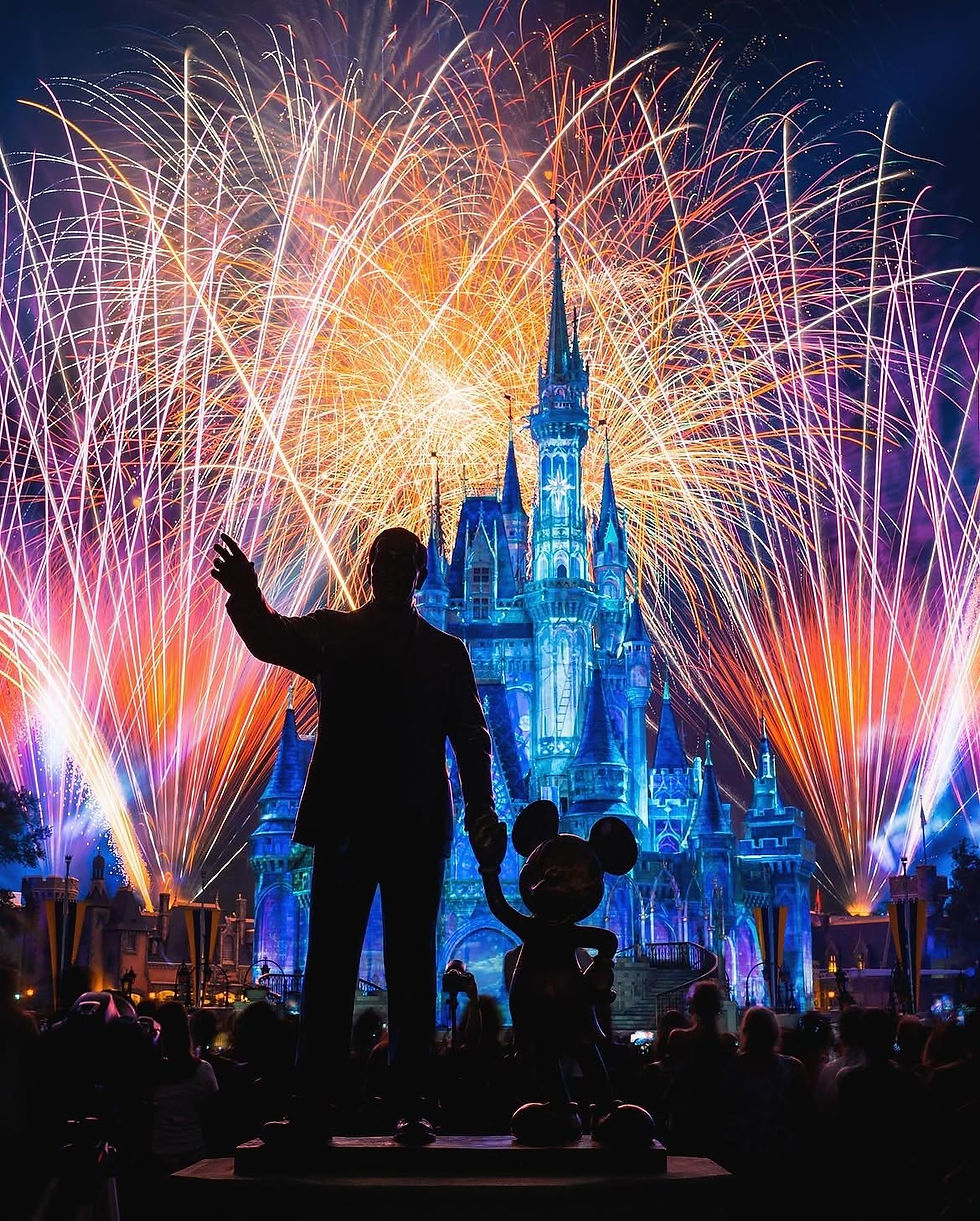 Fireworks Friday 🎆. A few favorites that I’ve taken over the years...#waltdisneyworld #di