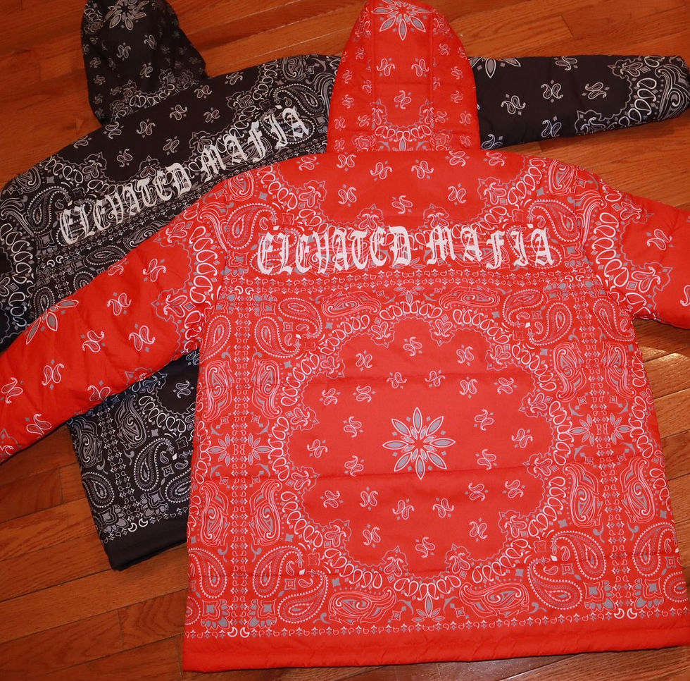 Thumbnail: Water proof paisley puffer 2.0