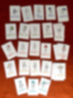 Miniature : Les Émotions