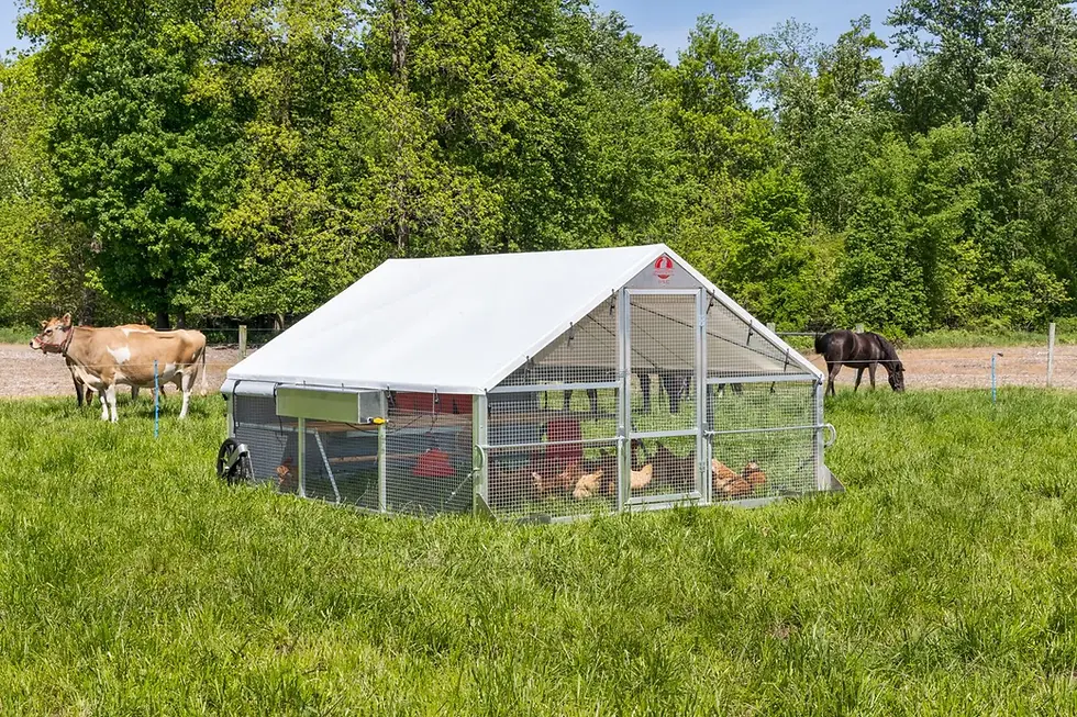 10x12 Alumi-Coop