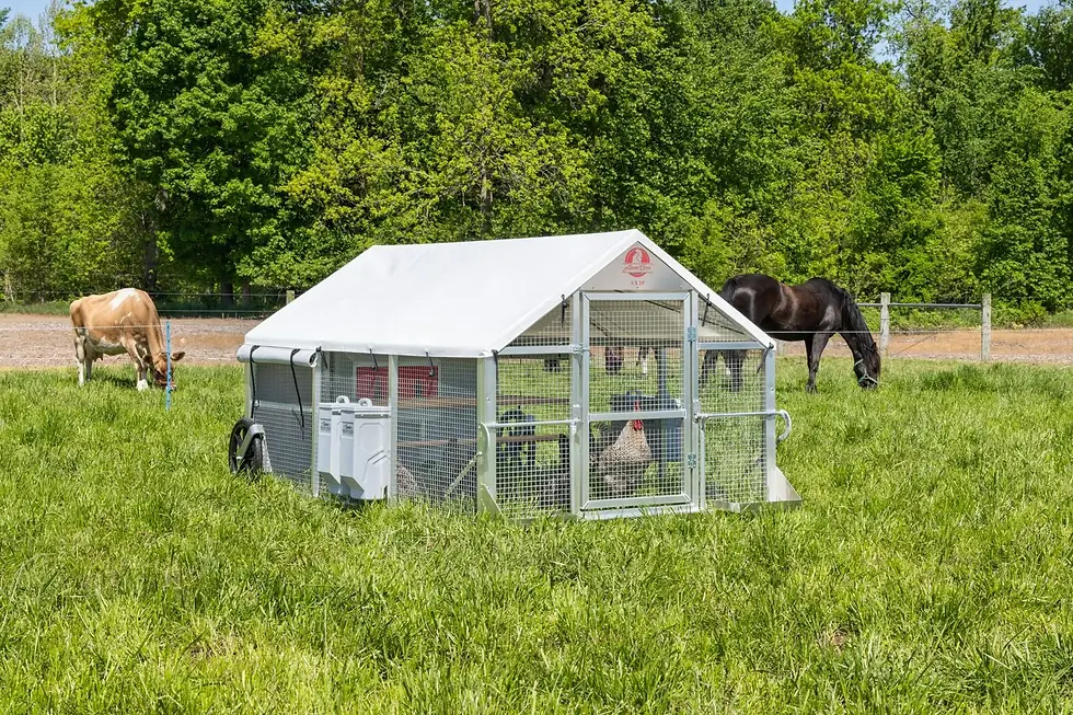 6x10 Alumi-Coop