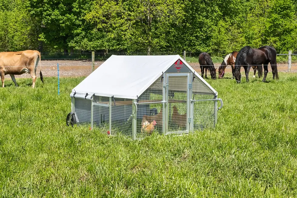 5x6 Alumi-Coop