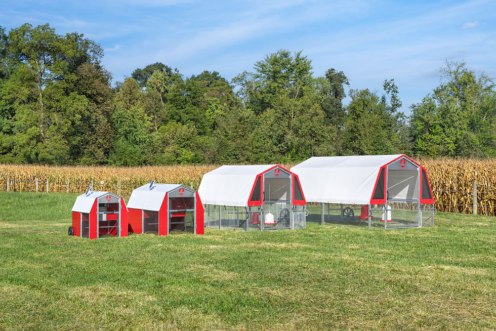 Redline Coops [Lineup All]