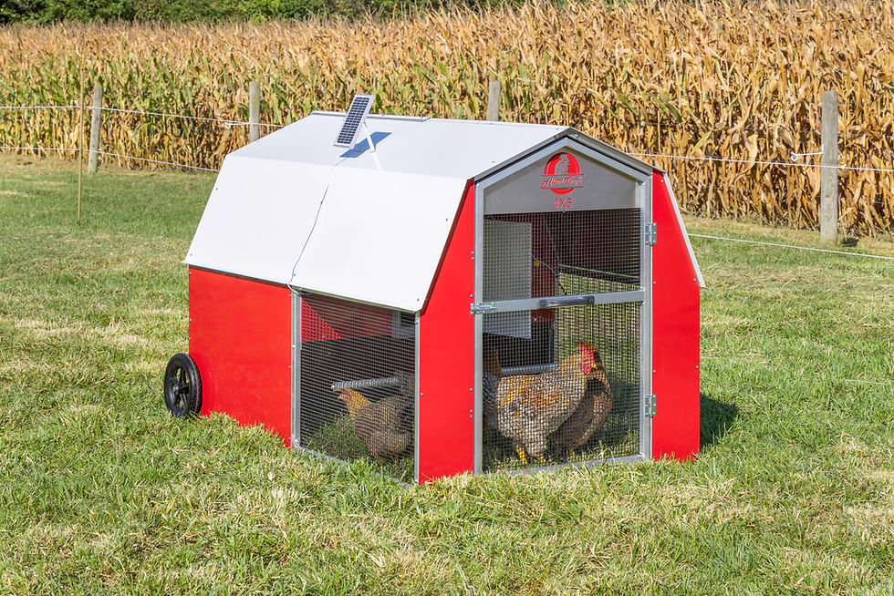 4 x 6 Redline Coop [Front, Chickens]