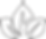 LLSquiggleLeavesDouble.png