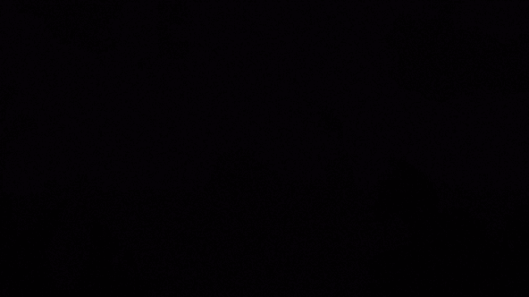 birdPeople1.gif