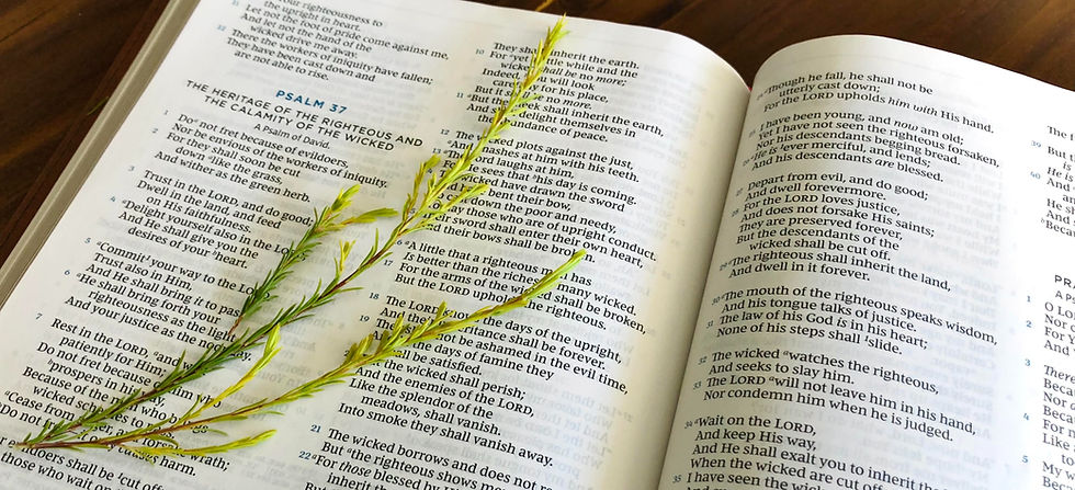 One of my favorite Psalms for the sidewalk | Our Planned Parenthood passage