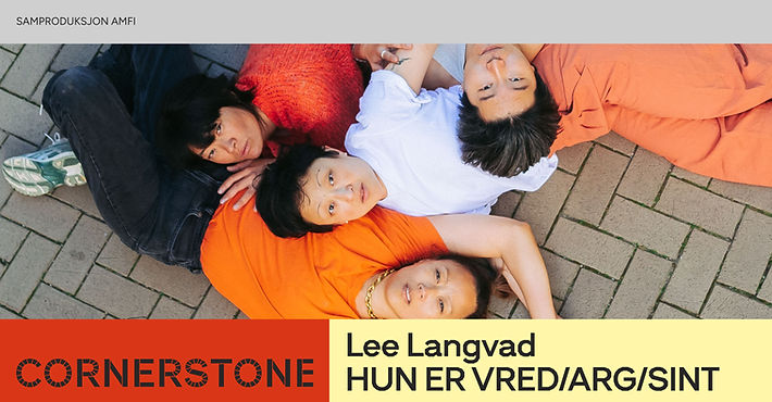 cornermaskinen-lee-langvad-hun-er-vred-a