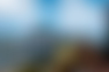 Empowering Mount Washington and Duquesne Heights: About MWCDC