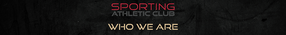 WHO WE ARE (4).png