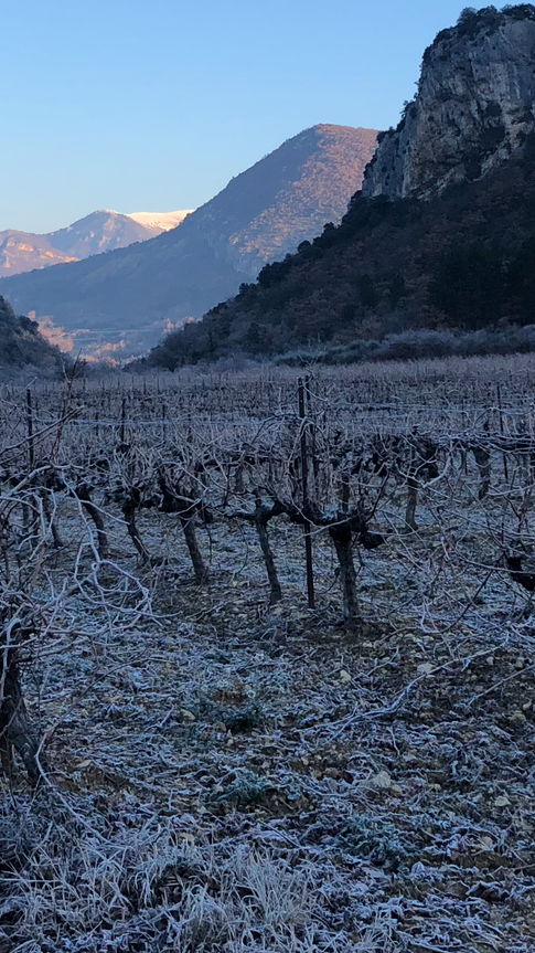 la vallée de Montaulieu