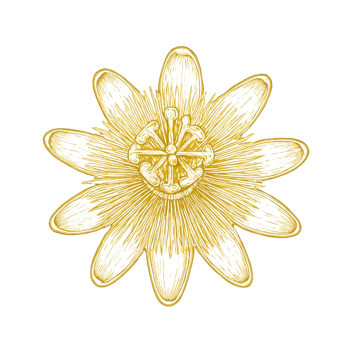 Gilded_Stem_Logo__6_-removebg-preview.png