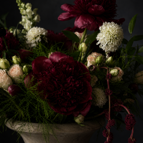 Luxury burgundy peony arrangement with blush roses, white scabiosa, and cascading amaranthus in a stone urn — The Crimson Ban