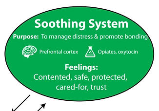 The Body's Soothing System