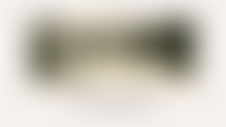 Klassische Marmorbüste, deren Augen über den Rand eines leeren Bewerbungsformulars mit freiem Foto-Kästchen lugen, Kupferstich in Sepia. Titelbild zum Essay «Vom Kennenlernen» von Roger Koch.