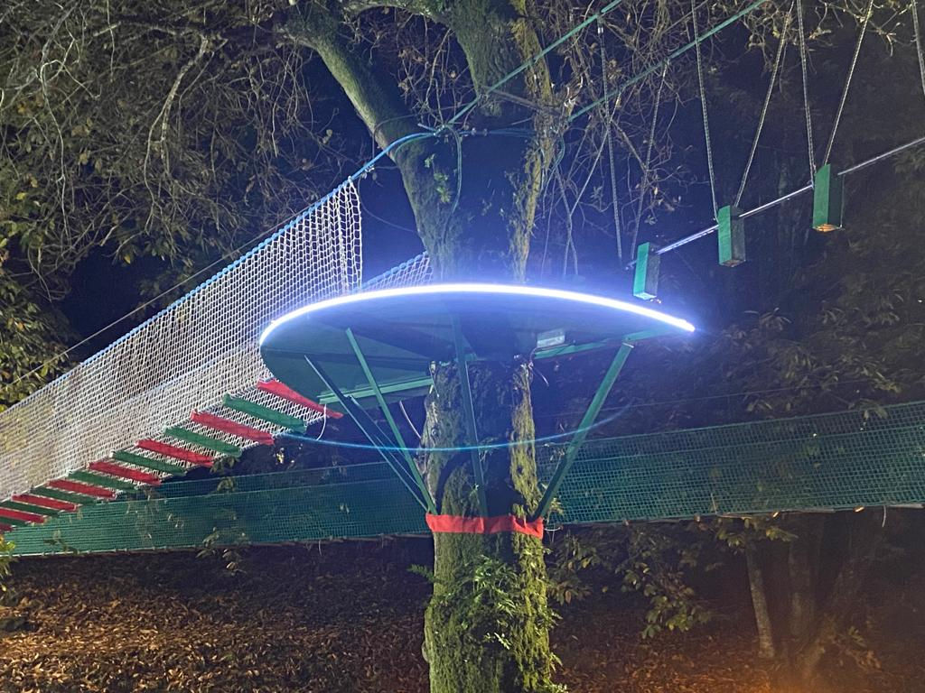 Plataformas de Arvorismo