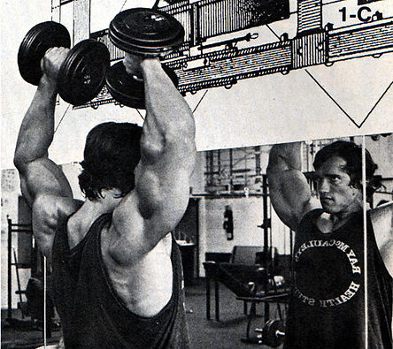 Arnold_Press_1.jpg
