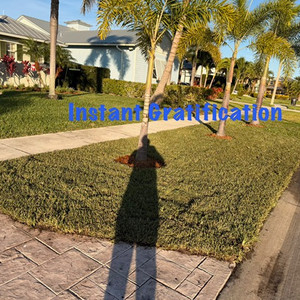 Golf Course Pest & Turf Management