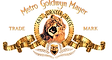 MGM_Holdings_Logo.png
