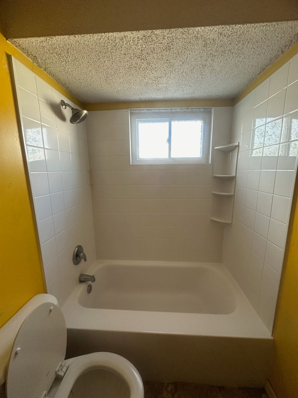 image3 (1)