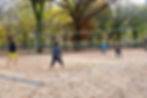 Central Park Beach Volleyball
