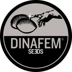 Dinafem