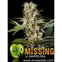 x3 missing-in-barcelona $25.990
