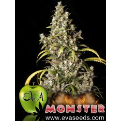 x3 monster $18.990