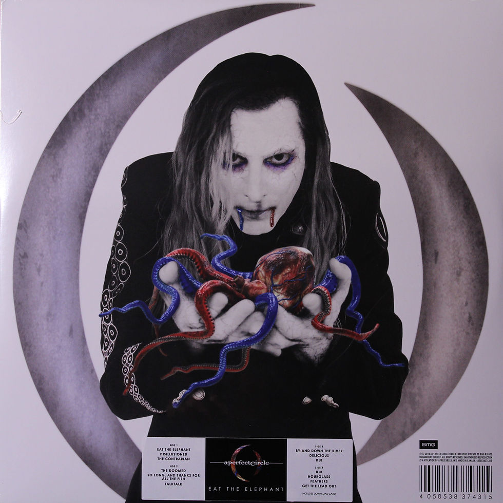 A perfect circle - Eat the elephant