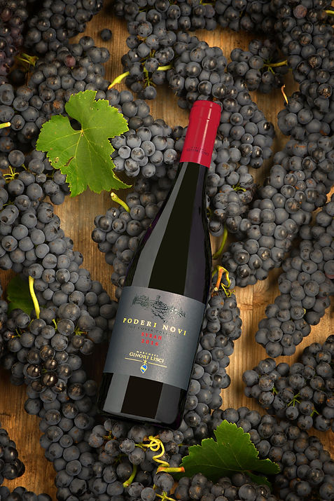 Poderi-Novi-con-uva-01.jpg