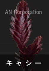 IMG_2698_edited_edited_edited_edited_edi