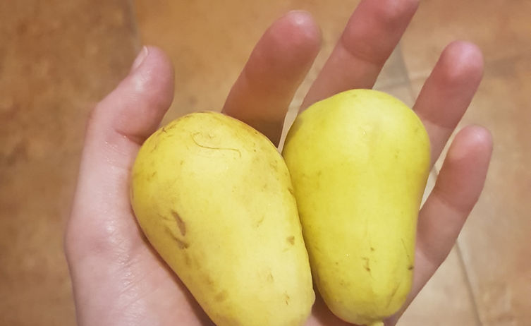 20211026_113959 Kopie.jpg