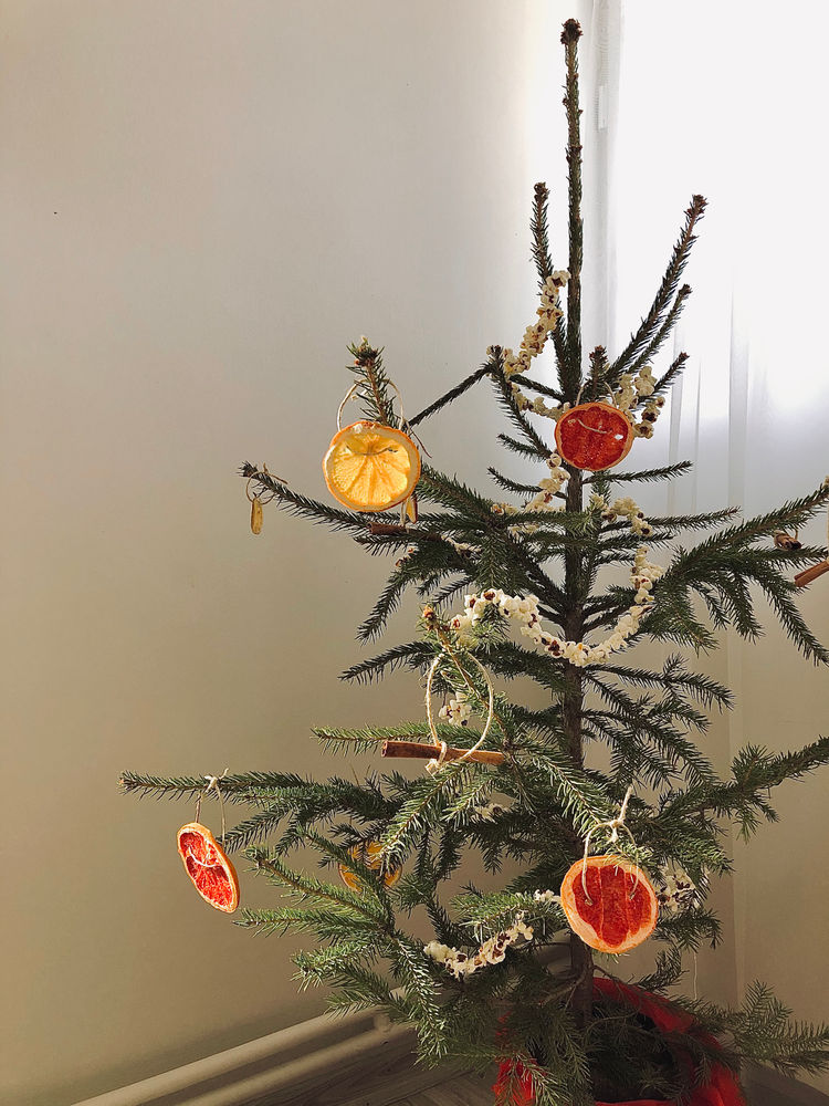 SÜRDÜRÜLEBİLİR YILBAŞI