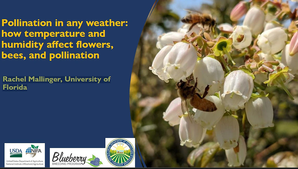 Pollination in any weather: how temperature and humidity affect flowers, bees, and pollination