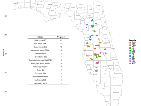 Insect Pests Most Frequently Reported by Growers