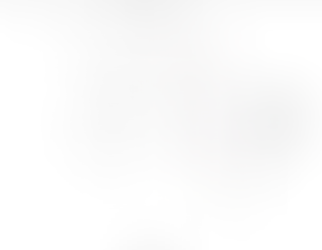 Florida Blueberry Farms Surveyed 2019 Season