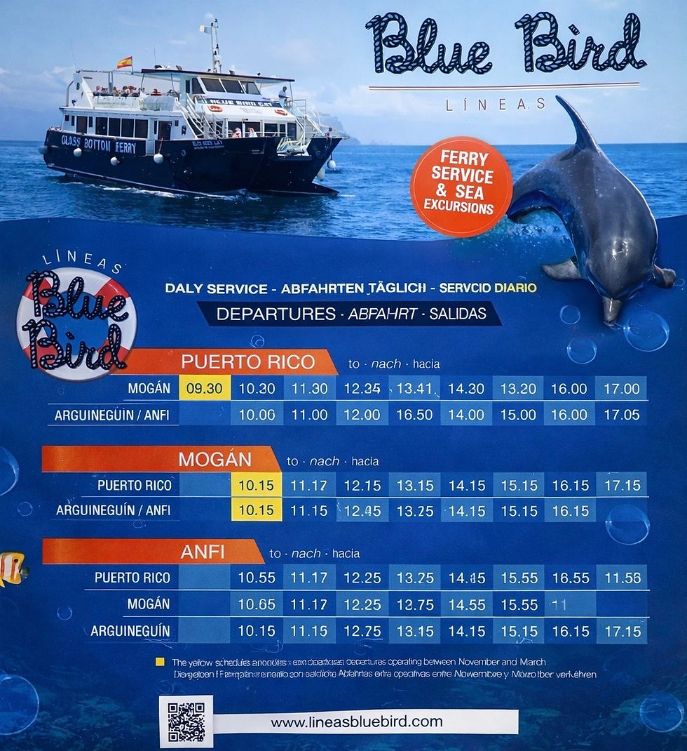  Puerto de Mogan Ferry – Blue Bird Glass Bottom, Prices & Timetable