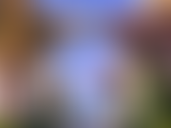 Puerto de Mogán Guide