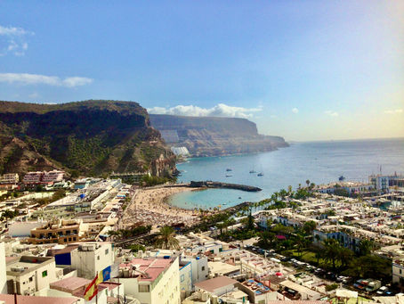 Read this! Something you need to know about MOGAN