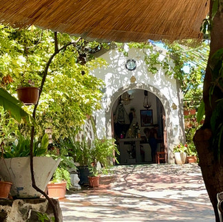 Whitewashed finca entrance with plants and shaded terrace at Finca La Laja in Agaete Valley, Gran Canaria.