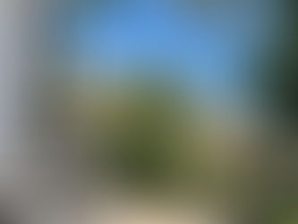 Traditional finca steps with vineyards and mountain landscape in Agaete Valley, Gran Canaria.