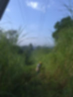 Flechado de conductores