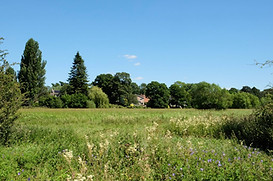 fulford ings.jpg