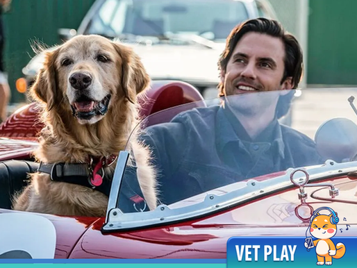 VetPlay