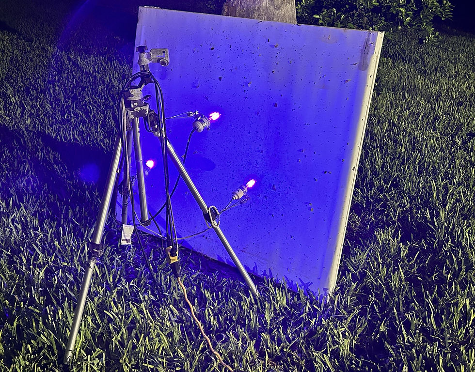 Black lights and moth sheet. (Photo by Anita Westervelt)