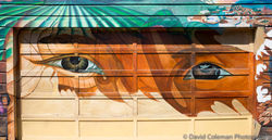 Mission District Photo Workshop