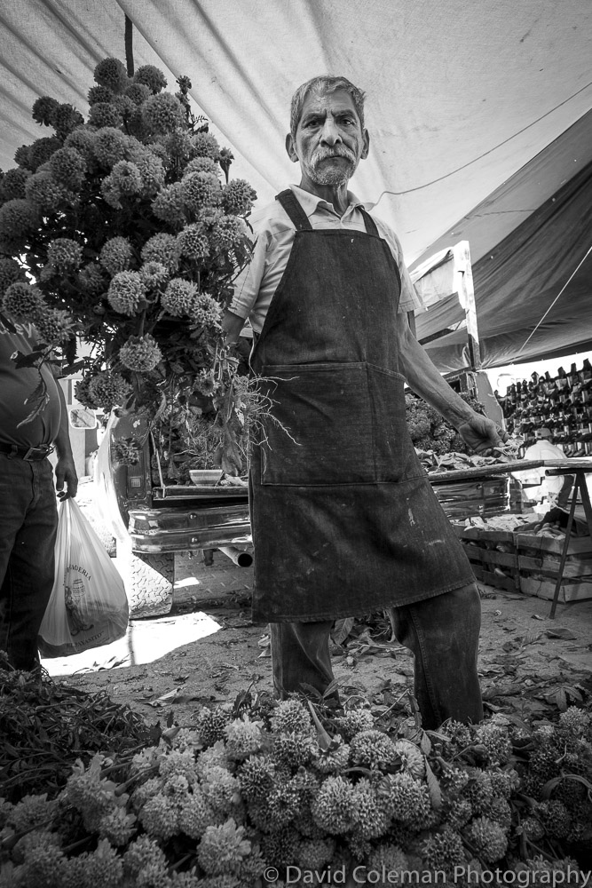 David Coleman Photography & Workshops
